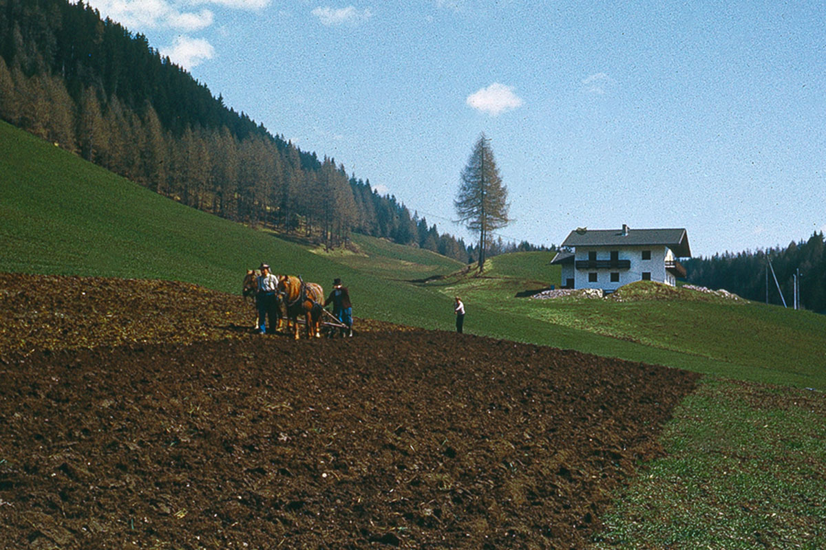 Feldarbeit früher