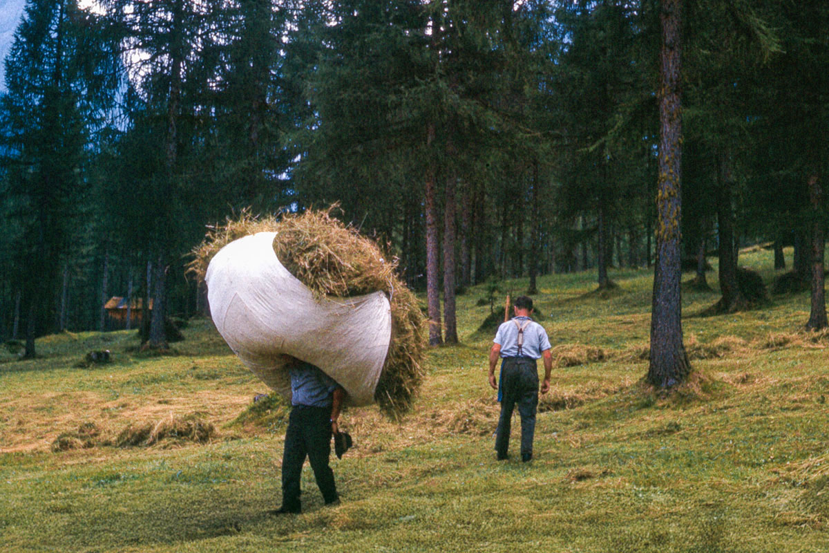 Feldarbeit früher