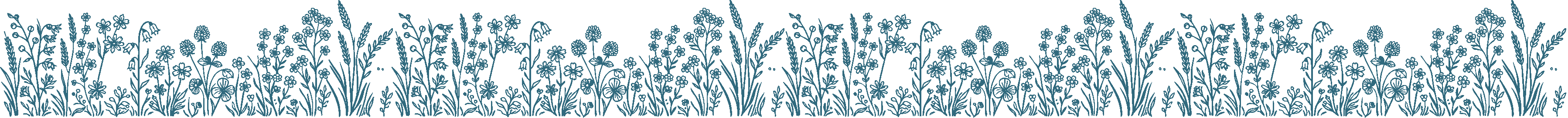 Blumenwiese
